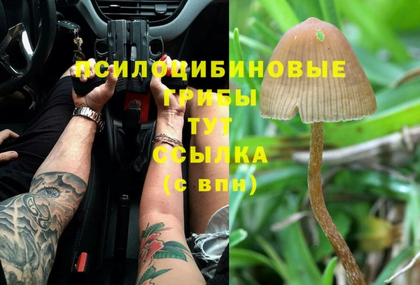 скорость Мегион