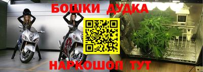 гашик Кунгур