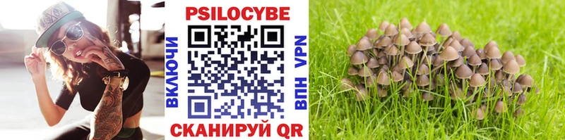 omg ТОР  Шатура  Галлюциногенные грибы прущие грибы 