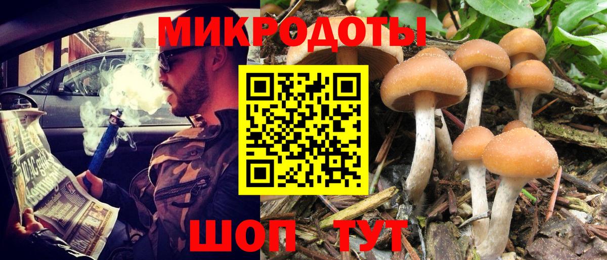 Псилоцибиновые грибы Psilocybine cubensis Шатура