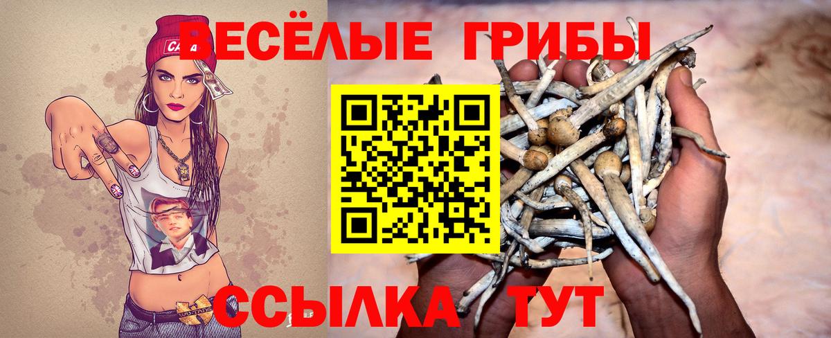 Шатура  что такое   Вход с VPN  Галлюциногенные грибы Cubensis 