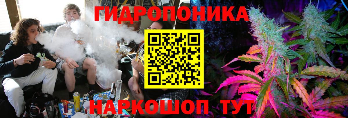 Шишки марихуана White Widow Шатура